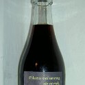 polu2010-(88)
